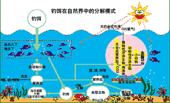 Arbogast 所有淡水原始木制老式鱼饵